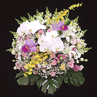 ご供花 30-Y 高さ85㎝ 幅80㎝