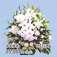 洋花供花 Y-25白